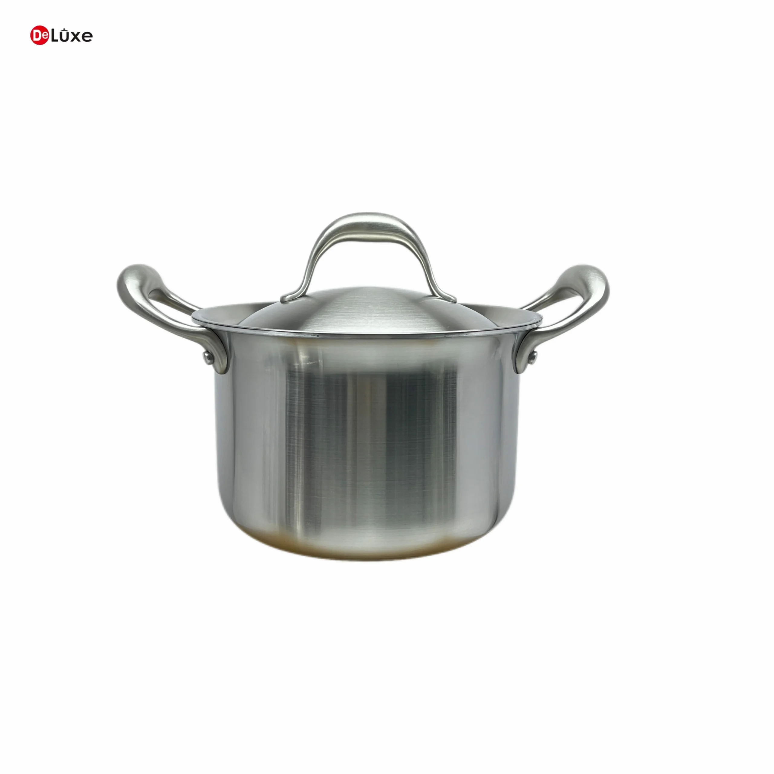 Deluxe 24cm 3‑Ply Stainless Steel Stew Pot with Heavy‑duty Cast Steel Handles